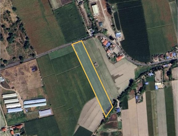FOR SALE FARM LOT IN MAGALANG PAMPANGA NEAR ANGELES FLYING CLUB