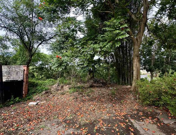 The Glens at Parkspring Residential Lot For Sale in San Pedro Laguna +