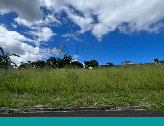 317 sqm Vacant Lot For Sale in Eastland Heights Antipolo City