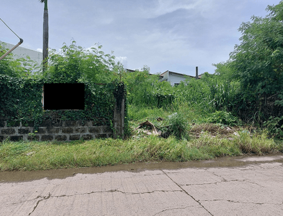 1,350sqm Residential lot for Sale in Multinational Village Brgy. Moonwalk Paranaque City