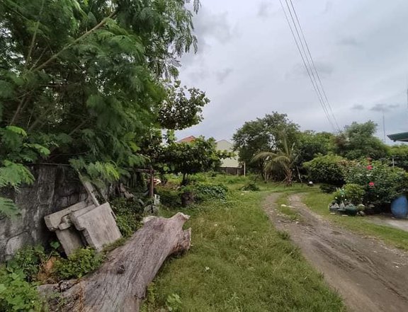 1,317sqm Residential lot for Sale in Landyan San Pedro Laguna