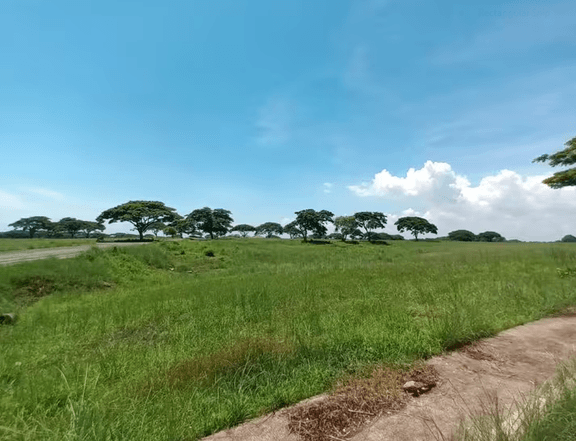 718 sqm Residential Lot For Sale in Tanuan, Tanza Cavite