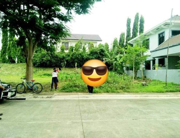 219sqm Residential lot for Sale in Brentville International Binan Laguna