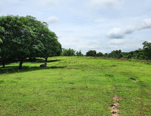 9-Hectares Lot for Sale in San Miguel Bulacan