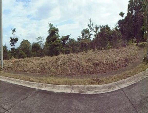 Foreclosed 333 sqm Residential Lot For Sale in Calamba Laguna