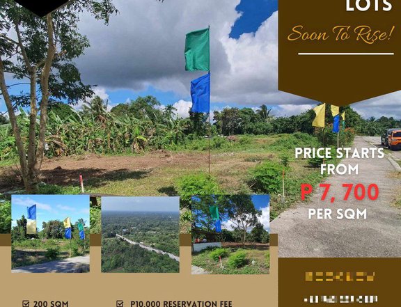 Residential/Commercial Lot Along East West Rd, Amadeo Cavite