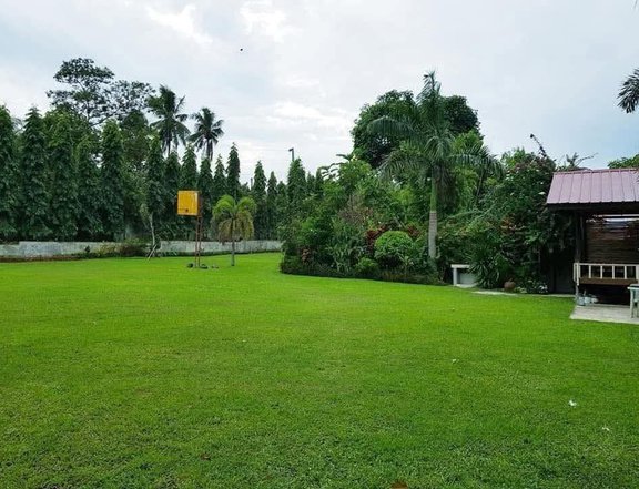 7,012 sqm Residential Lot For Sale in Davao City