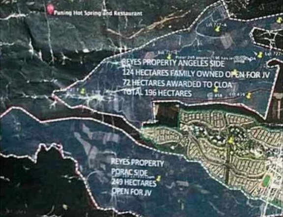 259 hectares raw land for sale in clark pampanga