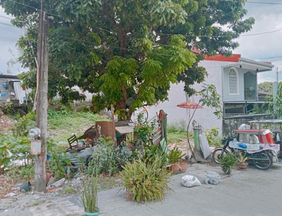 Lot for Sale in Brgy Cupang, Antipolo City