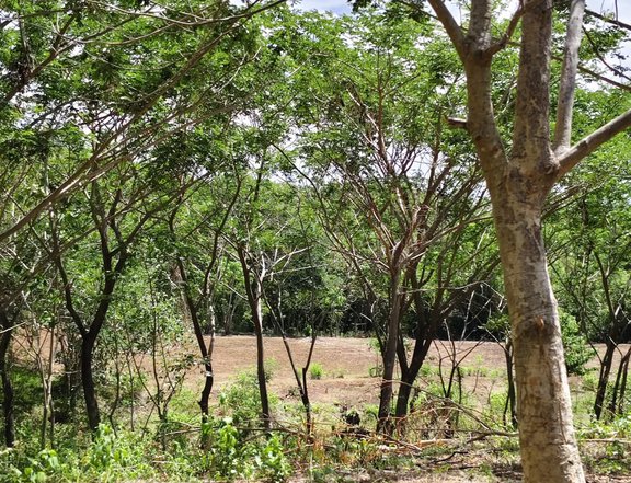 Installment FarmLot  in Bulacan
