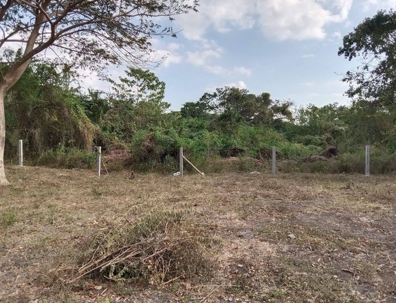 NEAR BEACH  FARMLOT ONLY 5MIN  only 1.6 M makaka usap mesmo may ari clean title