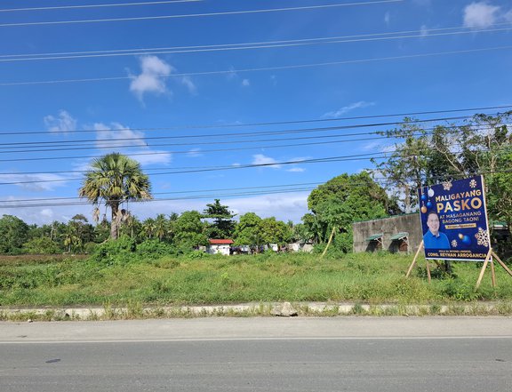 Commercial Lot for Rent in Catanauan, Quezon