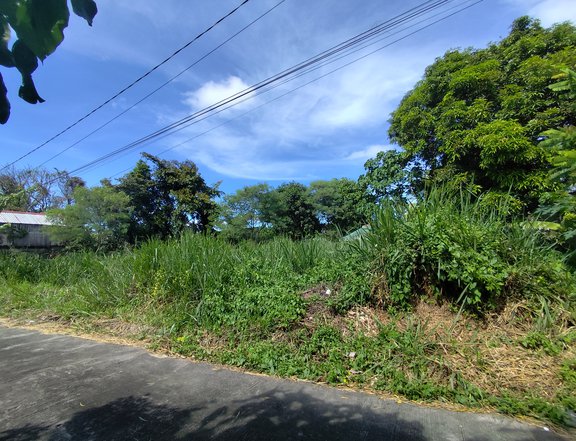 286 SQM Lot for sale in Lolita Heights Subd