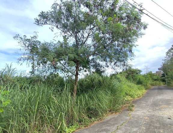 220 SQM Residential lot in Oasis Subd, Mansilingan, Bacolod City