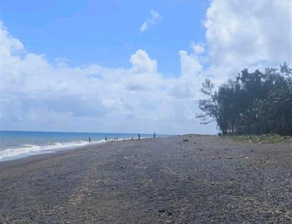 150 sqm Beach Property For Sale in Infanta Quezon