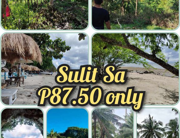 80 sqm Beach Property For Sale in Pitogo Quezon