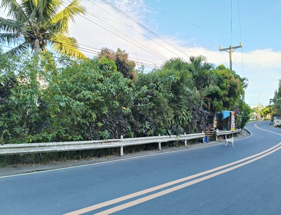 1.8 hectares commercial property for sale in tagaytay
