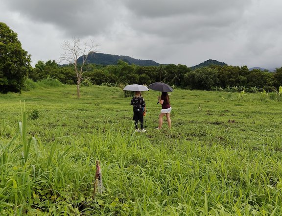 MURANG FARMLOT FOR SALE in nasugbu all in na sa price only 1300 per sqm