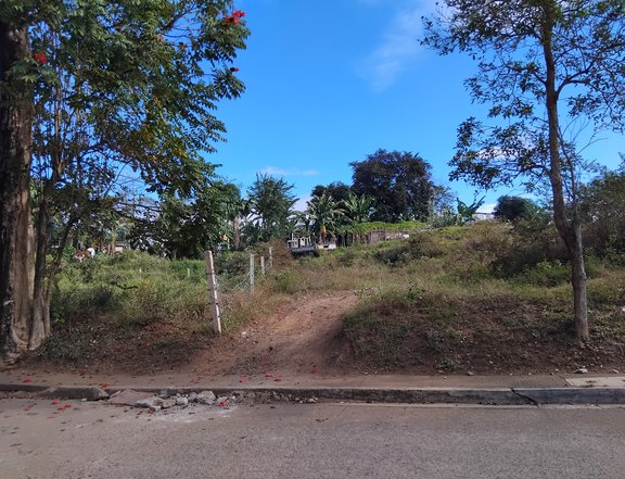 A lot inBarangay Bagumbayan. Teresa, Rizal,
