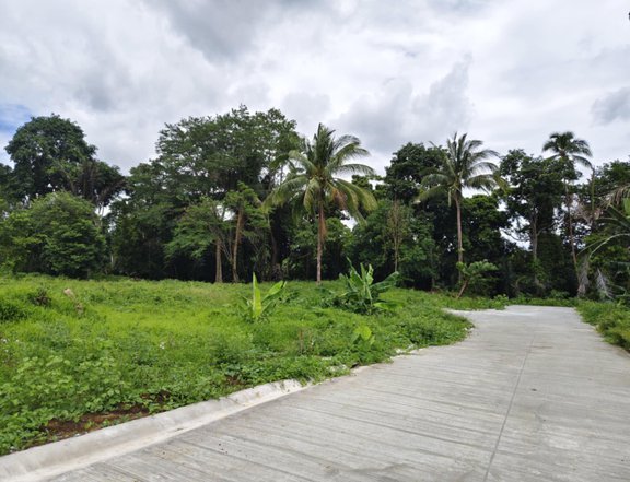 200 sqm Residential Lot For Sale in Amadeo Cavite