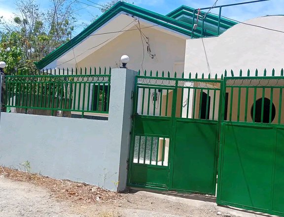 1 STOREY HOUSE AND LOT FOR SALE