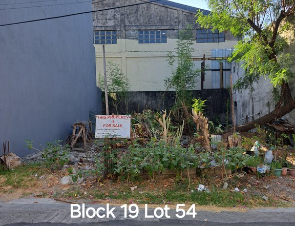 90 sqm Residential Lot For Sale at BLS-Annex 31,  Paranaque City