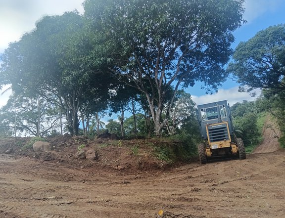 150 sqm Residential Lot For Sale in Mabitac Laguna