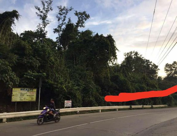 2000 sqm commercial lot for sale in Elnido palawan