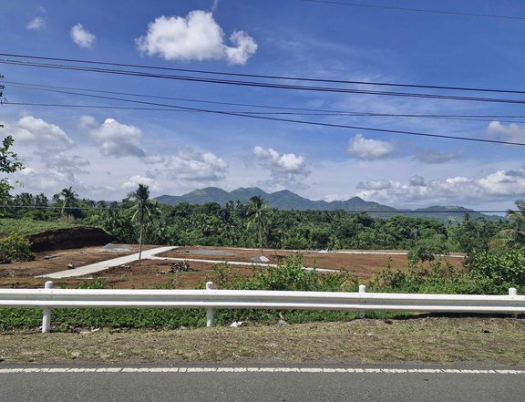 250 sqm Residential Lot for Sale  in Magallanes Cavite