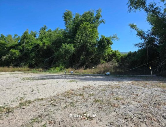 Subdivided Lot with clean title, flat terrain and walking distance from the national highway.ional