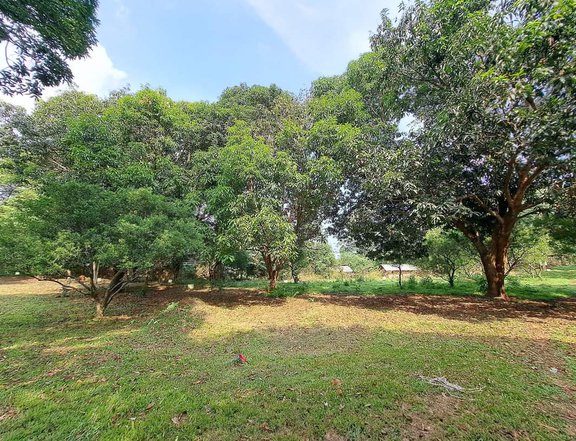 Residential Farm Lot in Morong Rizal Ready to Use