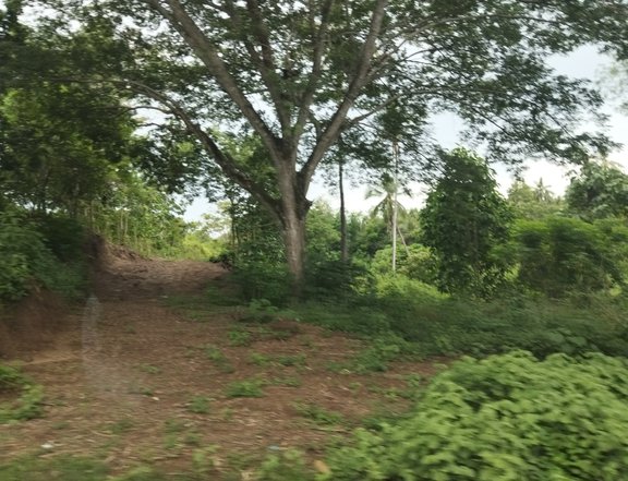 200sqm Residential lot installment in Lourdes Alubijid mis or