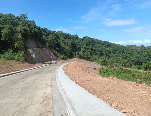 750 sqm Residential Farm For Sale in Pililla Rizal