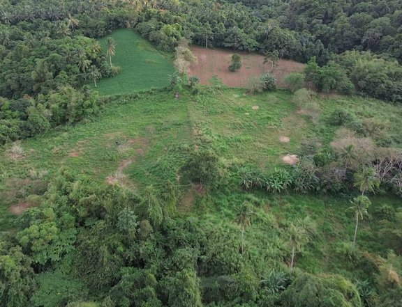 3.7 Hectares of Land in Alfonso Cavite 1km from Twinlakes