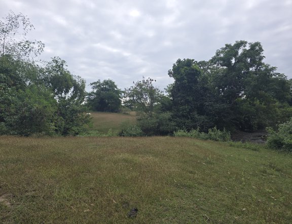 Farm lot with overlooking mountain View 20,700 sqm