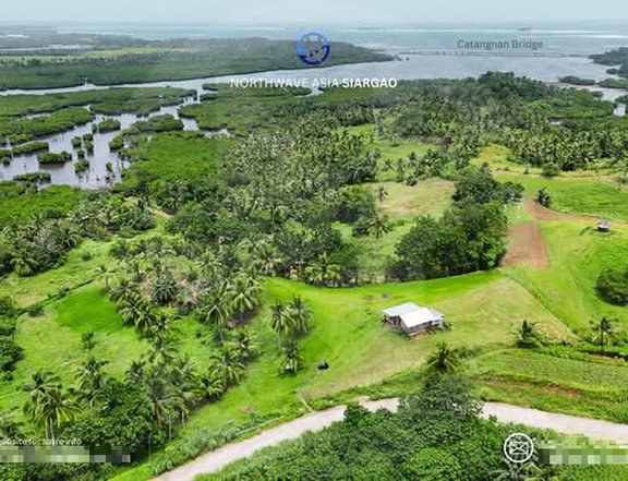 Overlooking 13,156 SQM Lot with Mangrove & Bridge View in Siargao