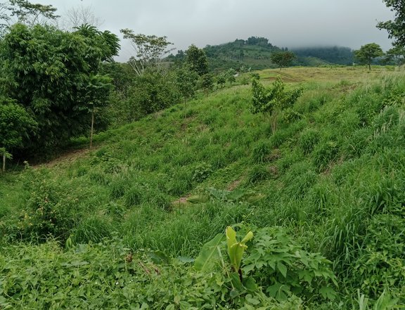 100 sqm Residential Lot For Sale in Arakan Cotabato