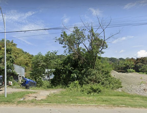 Raw Land: 50 meters Along Highway
