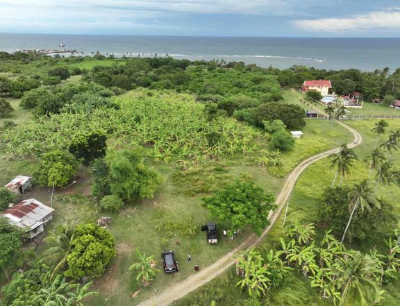 4 years installment subdivided sea view lot for sale.