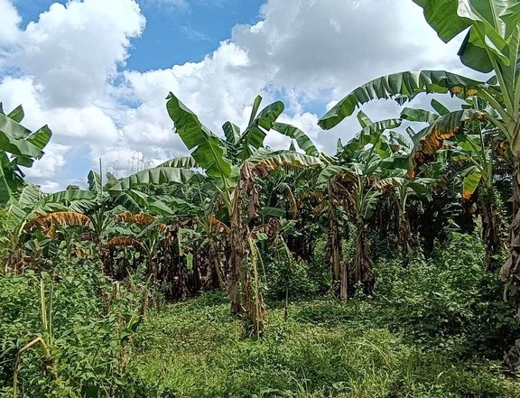 Agricultural Land in Malainen Luma Naic Cavite