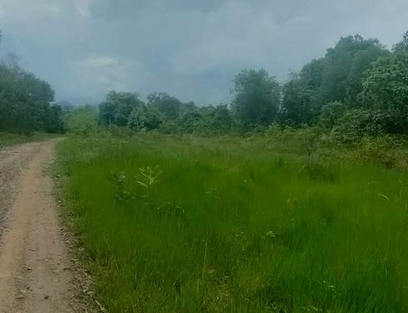 Farm Lot for Sale in Aborlan, Palawan