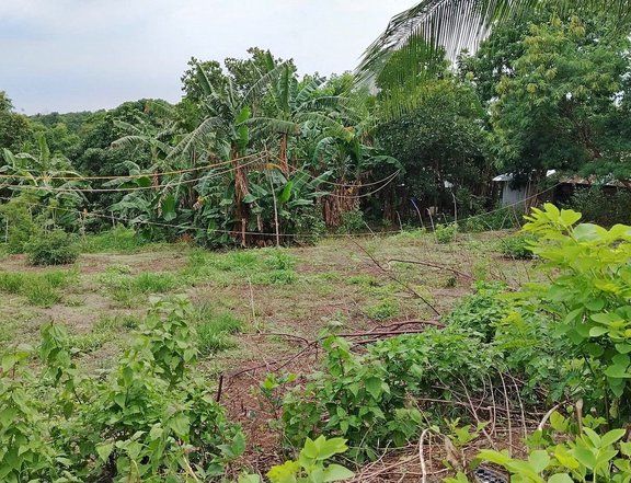 50 sqm Residential Lot For Sale in Santa Maria Bulacan