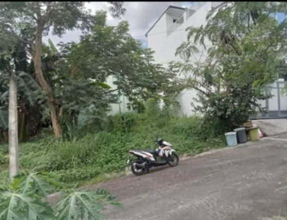 170 sqm Residential Lot For Sale in Park Hills Executive Subd. Antipolo, Rizal