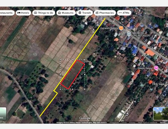 RUSH SALE! Prime Land for Sale in Dolores, Capas (NEGOTIABLE!)