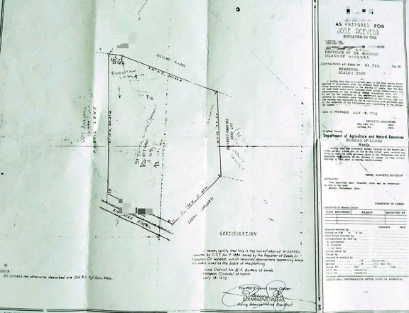 8.5has located in Brgy. Mamangan, Oriental Mindoro