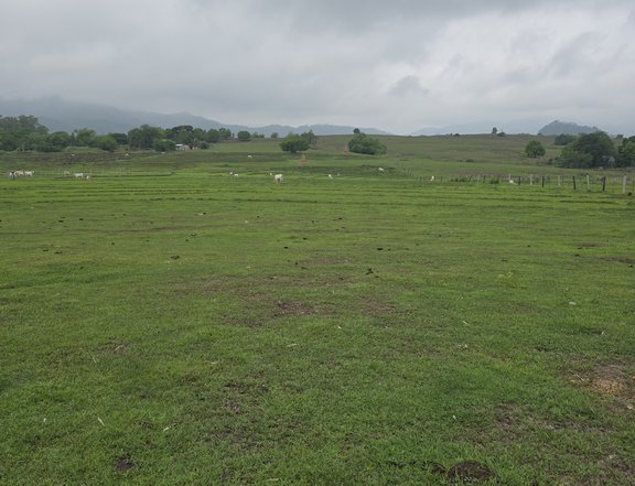 Farm lot 27,000 sqm near provincial road Mayantoc Tarlac