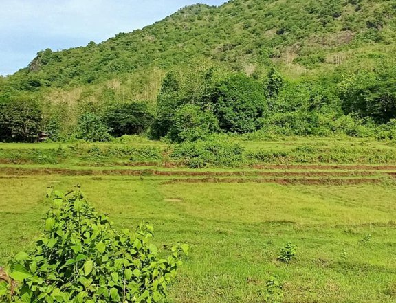 Farm lot with overlooking mountain View
