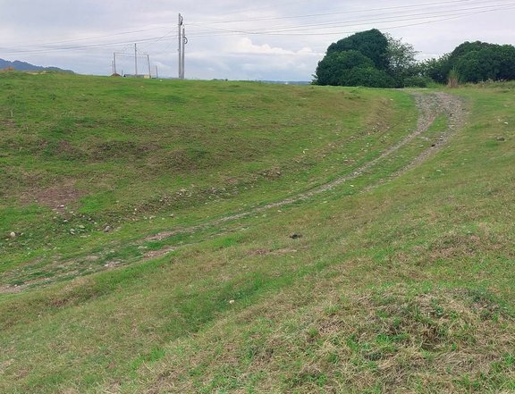 Farm lot 1 hectare in Cuyapo Nueva Ecija