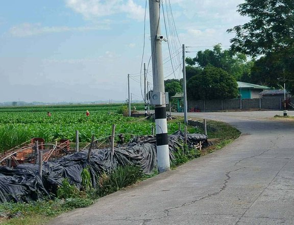portion lot residential lot Laoac pangasinan