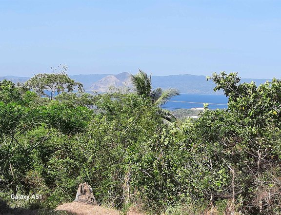Taal View Heights Aya Talisay Batangas Lot For Sale